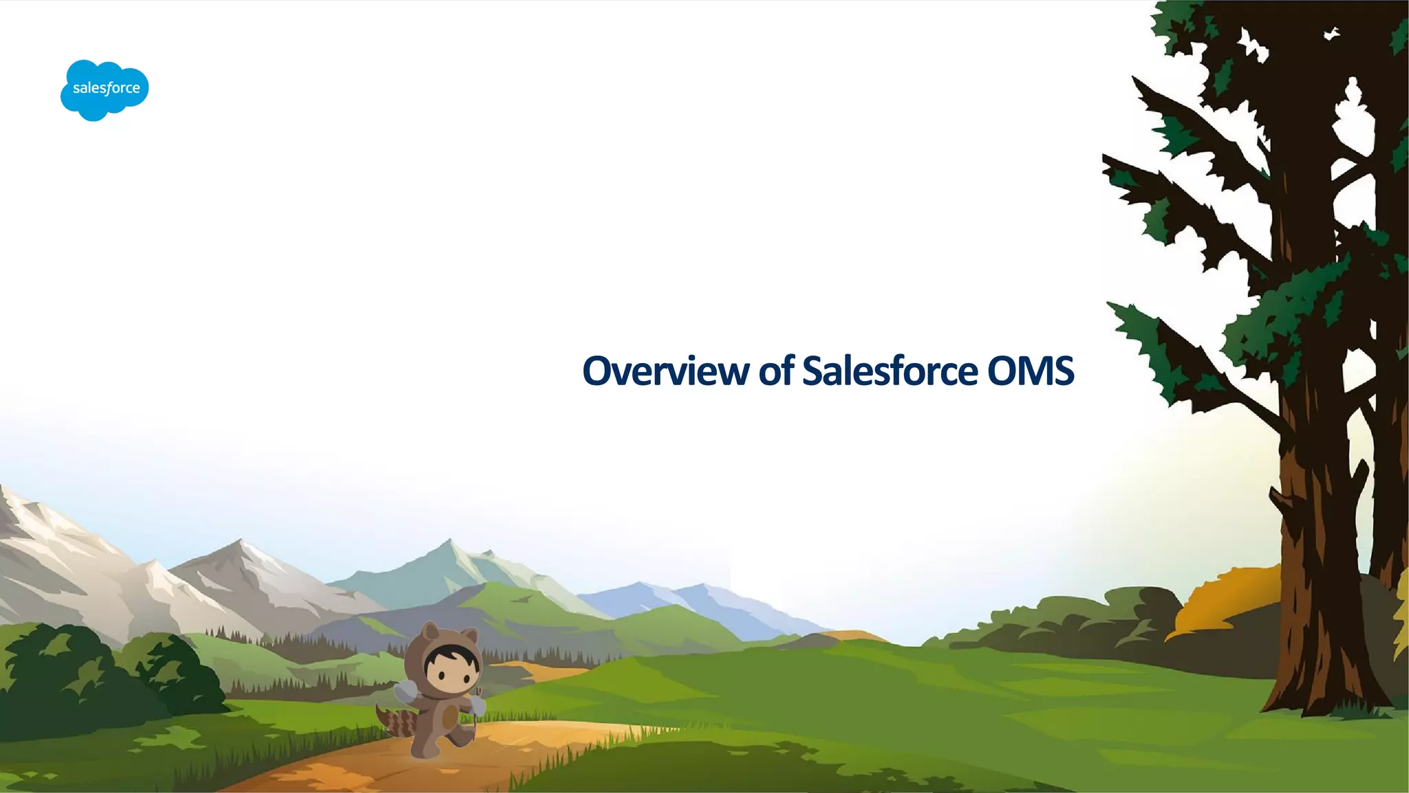 Overview ofSalesforce OMS
 