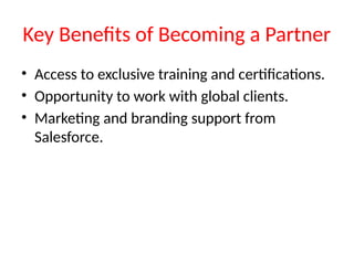 Comprehensive Guide to Salesforce Partner Program Benefits and ...