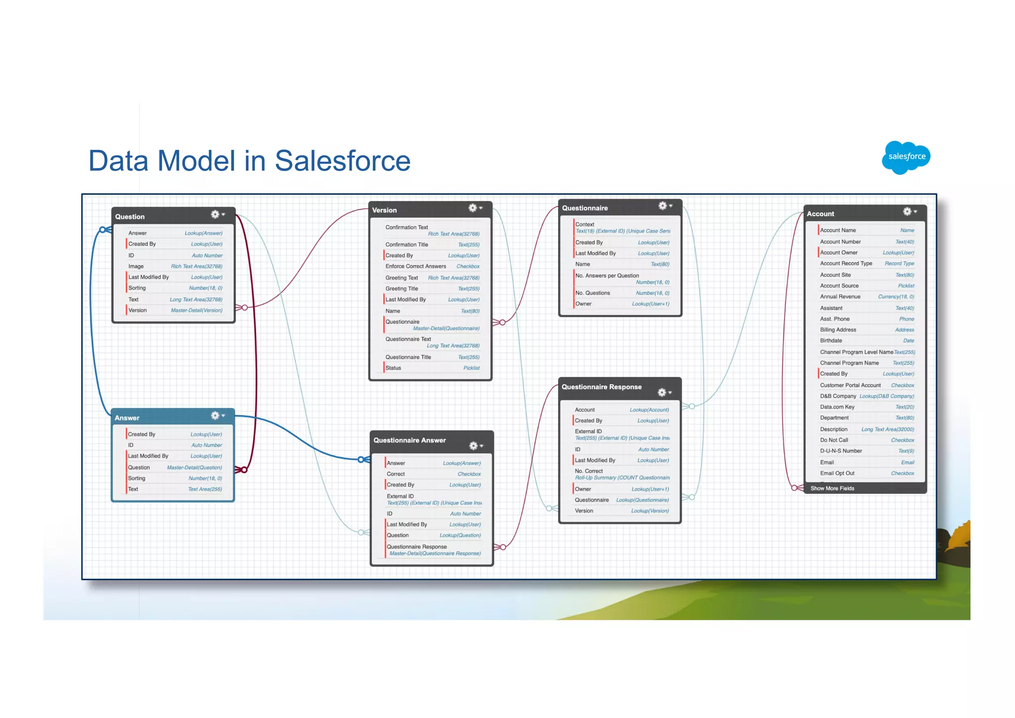 Data Model in Salesforce
 