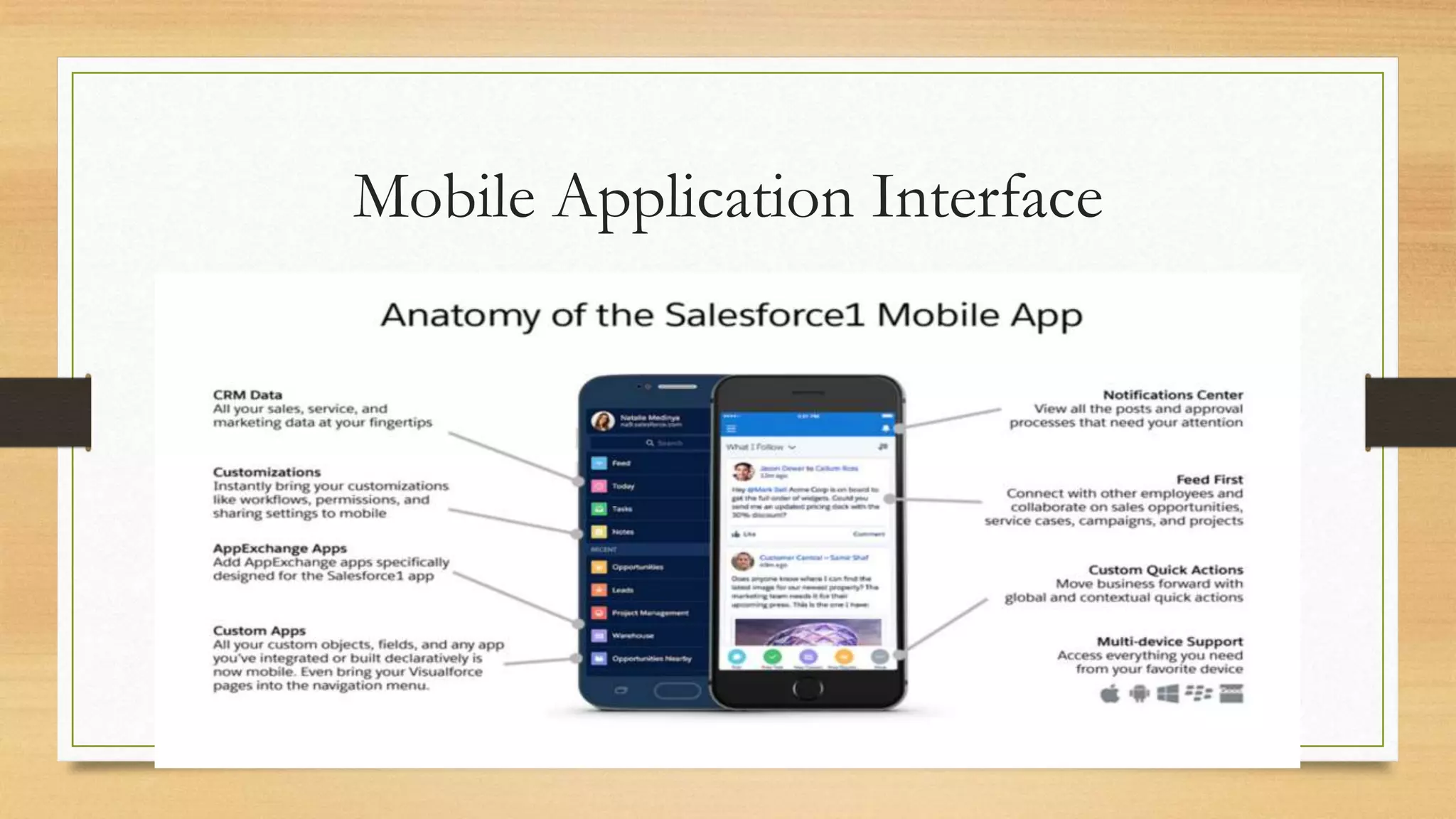 Mobile Application Interface
 