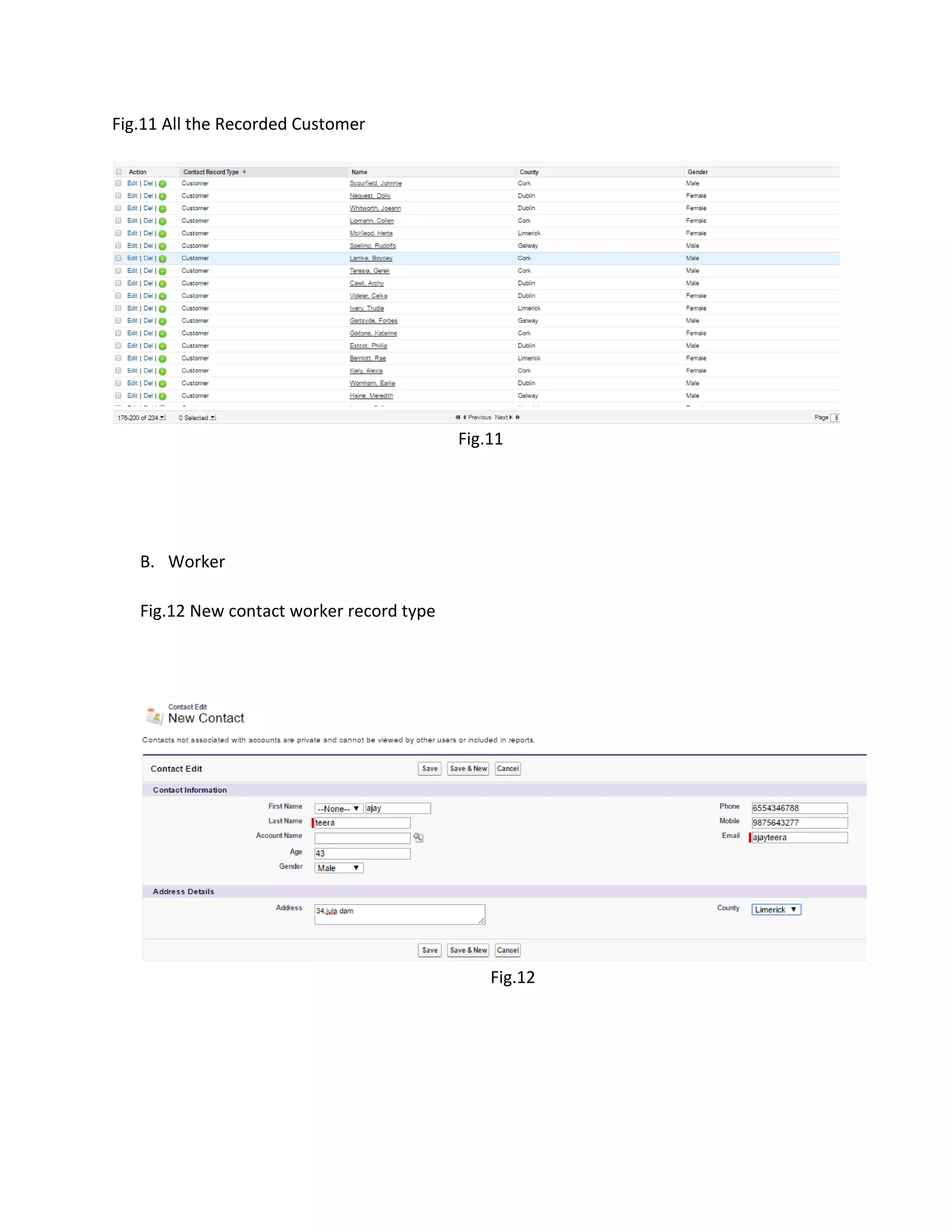 Fig.11 All the Recorded Customer
Fig.11
B. Worker
Fig.12 New contact worker record type
Fig.12
 