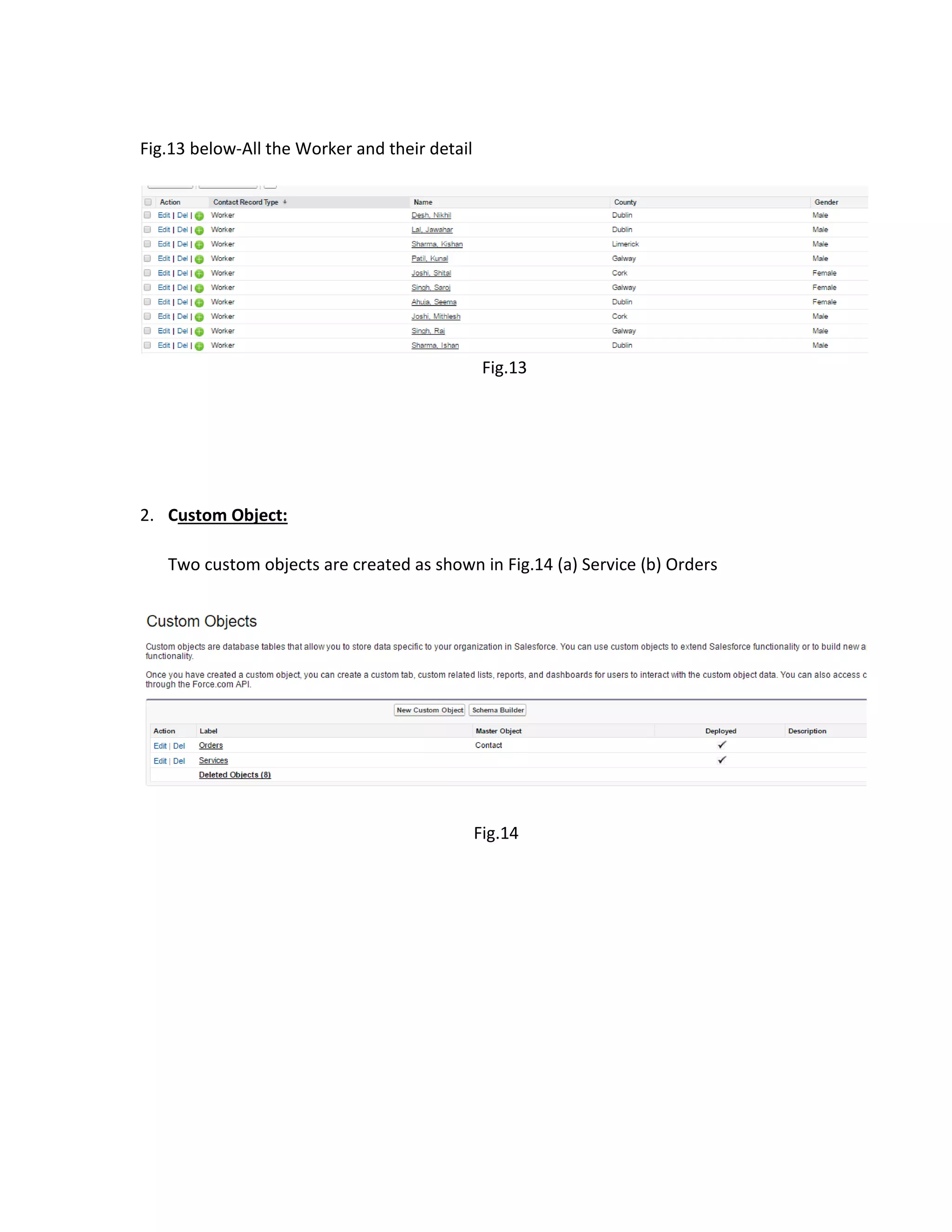 Fig.13 below-All the Worker and their detail
Fig.13
2. Custom Object:
Two custom objects are created as shown in Fig.14 (a) Service (b) Orders
Fig.14
 