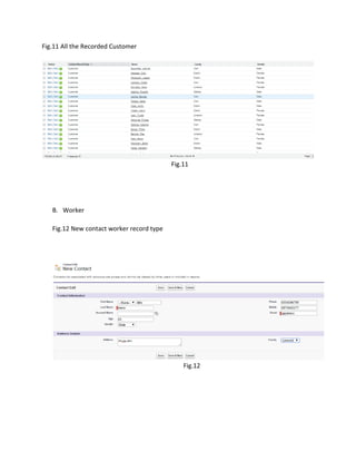 Salesforce project | PDF