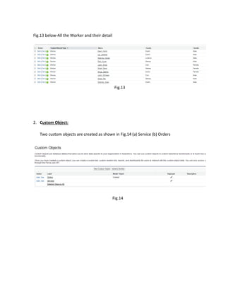 Salesforce project | PDF