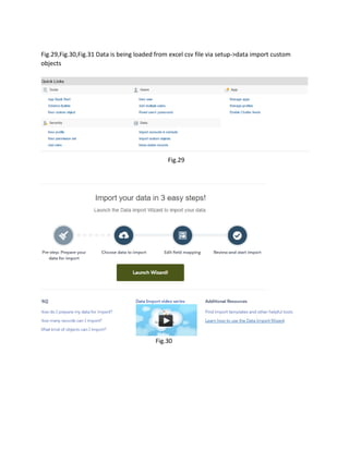 Salesforce project | PDF