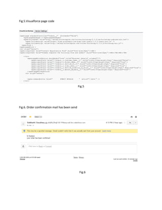 Salesforce project | PDF