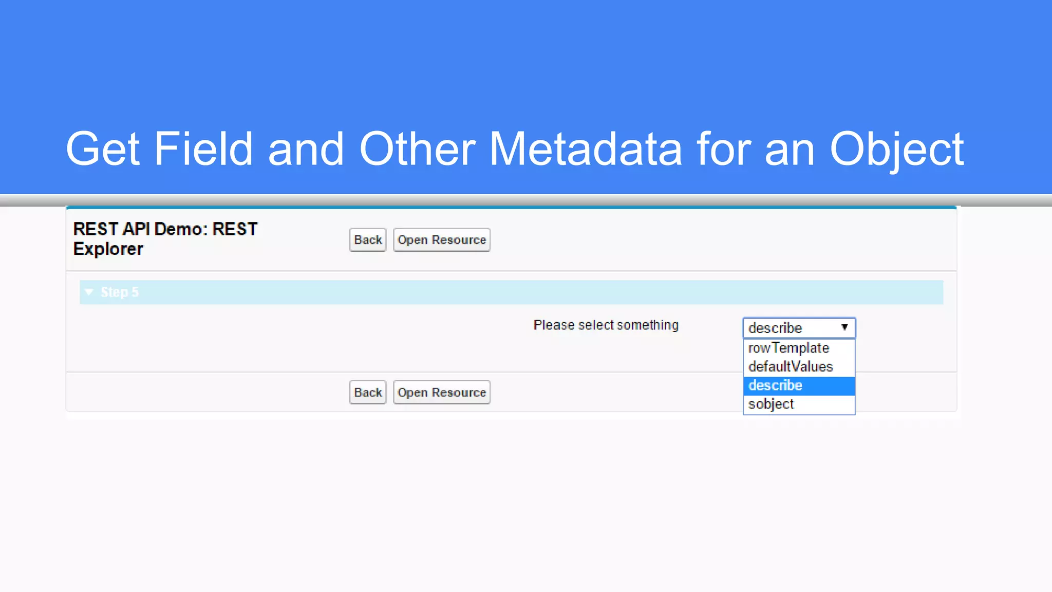 Get Field and Other Metadata for an Object
 
