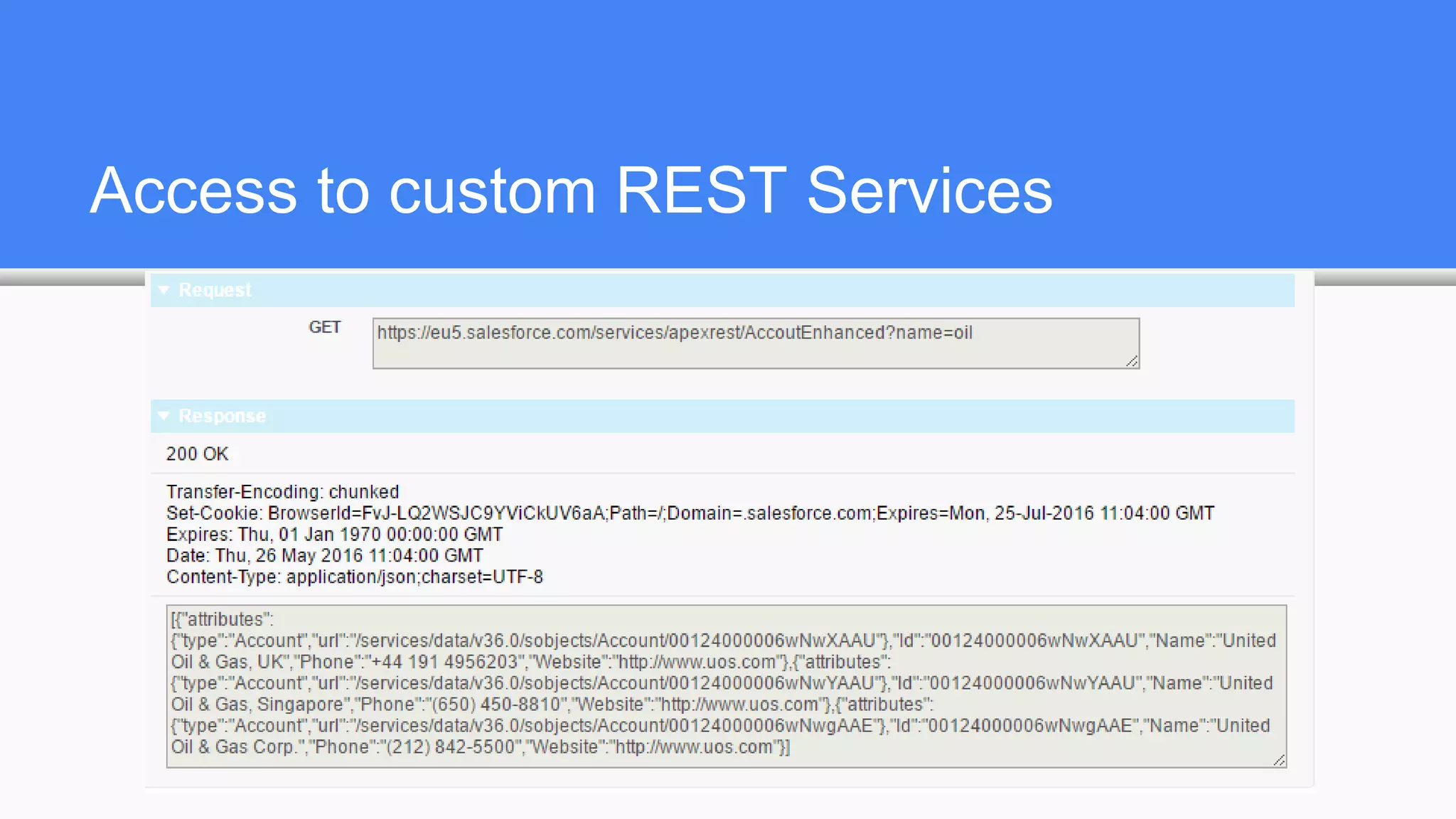 Access to custom REST Services
 