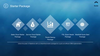 Salesforce Services Presentation by FEXLE Services | PPTX