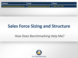 Sales Force Sizing and Structure How Does Benchmarking Help Me? 