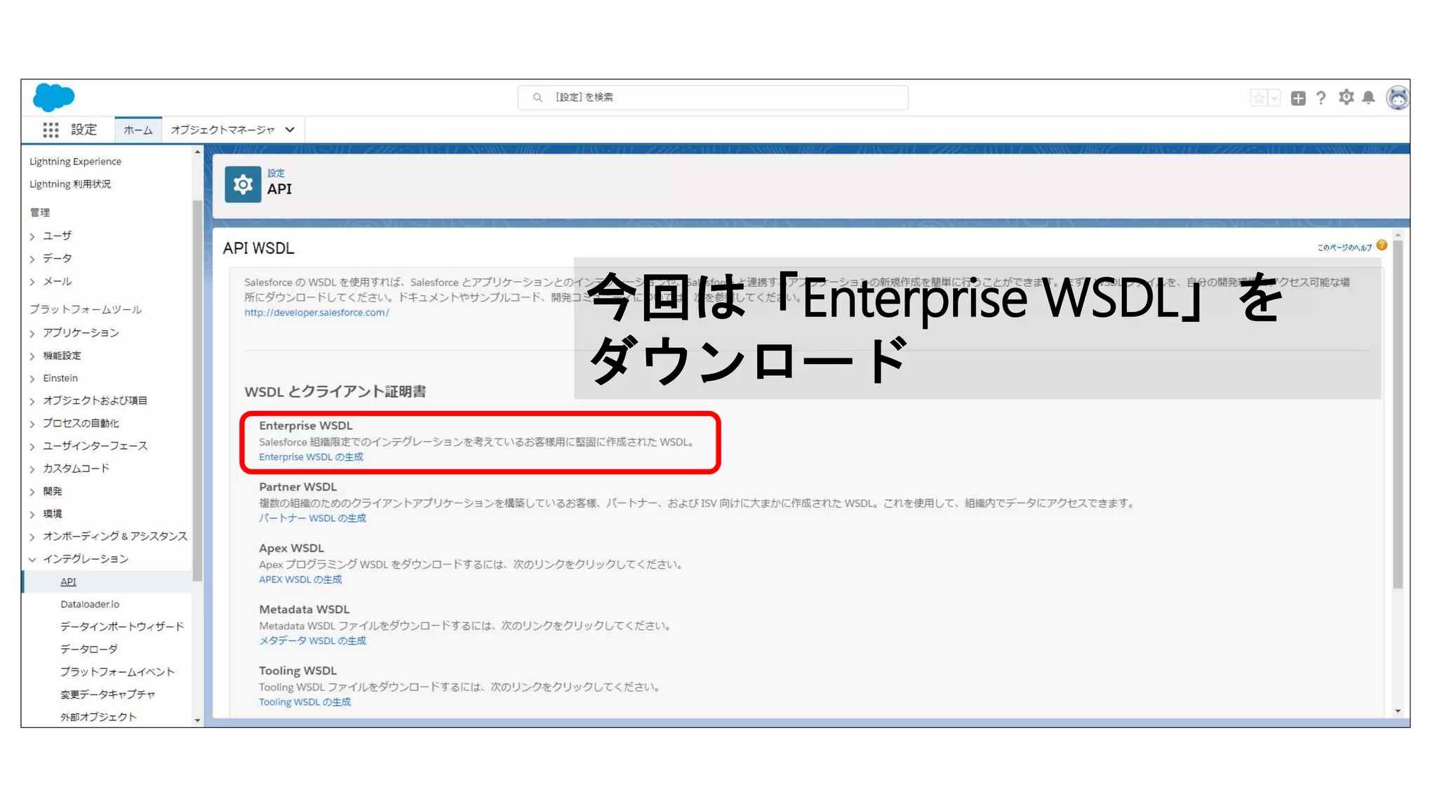今回は「Enterprise WSDL」を
ダウンロード
 