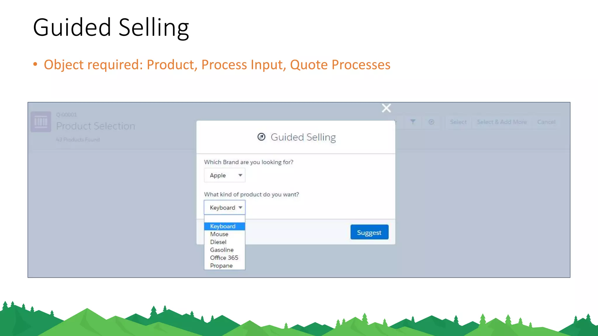 • Object required: Product, Process Input, Quote Processes
Guided Selling
 