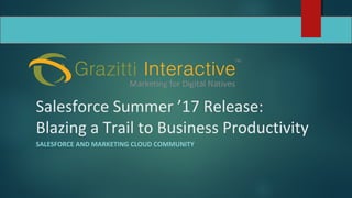 Salesforce Summer ’17 Release:
Blazing a Trail to Business Productivity
SALESFORCE AND MARKETING CLOUD COMMUNITY
 