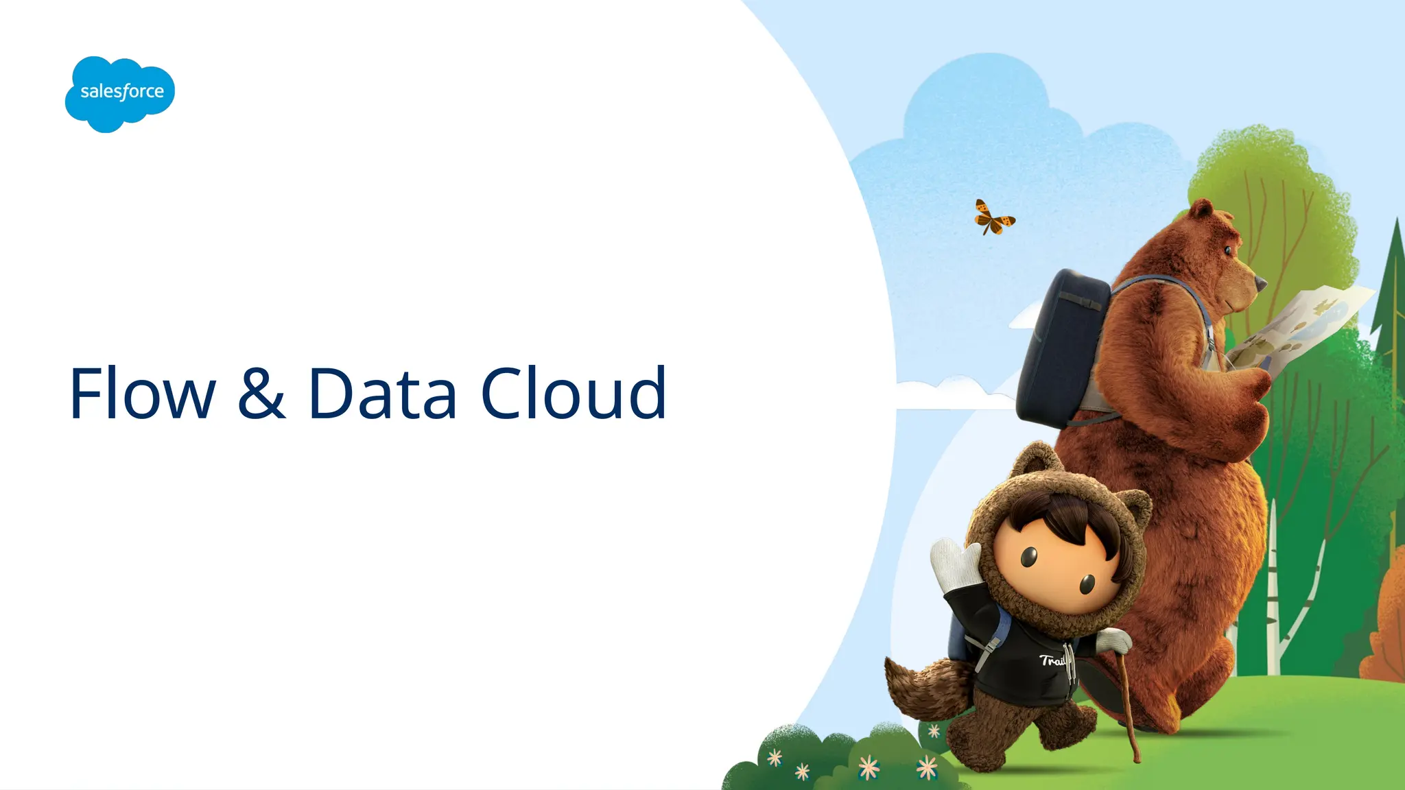 Flow & Data Cloud
 