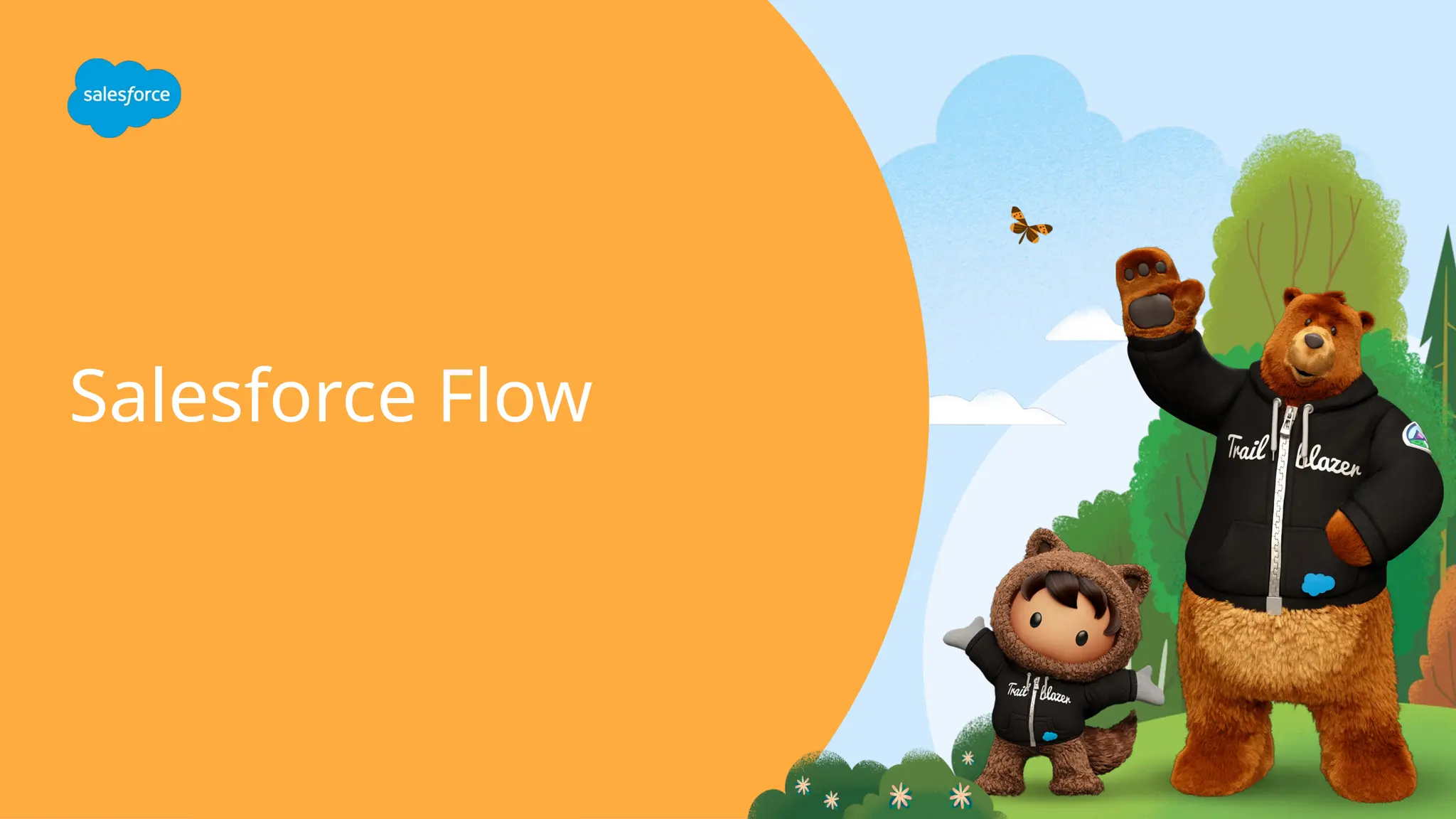 Salesforce Flow
 
