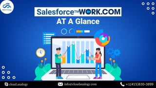 SalesforceTM
AT A Glance
cloud.analogy info@cloudanalogy.com +1(415)830-3899
 