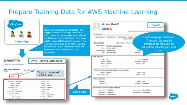 salesforce machine learning