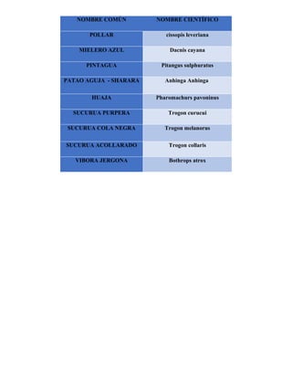NOMBRE COMÚN NOMBRE CIENTÍFICO
POLLAR cissopis leveriana
MIELERO AZUL Dacnis cayana
PINTAGUA Pitangus sulphuratus
PATAO AGUJA - SHARARA Anhinga Anhinga
HUAJA Pharomachurs pavoninus
SUCURUA PURPERA Trogon curucui
SUCURUA COLA NEGRA Trogon melanorus
SUCURUA ACOLLARADO Trogon collaris
VIBORA JERGONA Bothrops atrox
 