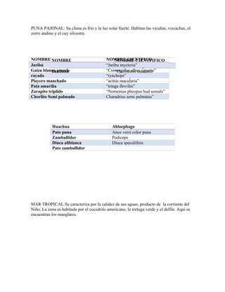 PUNA PAJONAL: Su clima es frío y la luz solar fuerte. Habitan las vicuñas, vizcachas, el
zorro andino y el cuy silvestre.
MAR TROPICAL:Se caracteriza por la calidez de sus aguas, producto de la corriente del
Niño. La zona es habitada por el cocodrilo americano, la tortuga verde y el delfín. Aquí se
encuentran los manglares.
NOMBRE NOMBRE CIENTFIFICO
Gris cola blanca “Odocollecs virginianos”
Banduna “Theristicus caudatus
meloncupul”
Huachua Ahloephago
Pato puna Anos versi color puna
Zambullidor Podiceps
Diuca aliblanca Diuca speculifera
Pato zambullidor
NOMBRE NOMBRE CIENTFICO
Jaribú “Jaribu mycteria”
Gaiza blanca grande “Comergolus albus aguetta”
rayado “rynchops”
Playero manchado “actitis macularia”
Pata amarilia “tringa flovifes”
Zarapito triplido “Nomenius pheopus hud sonials”
Chorlito Semi palmado Charadrius semi palmatus”
 