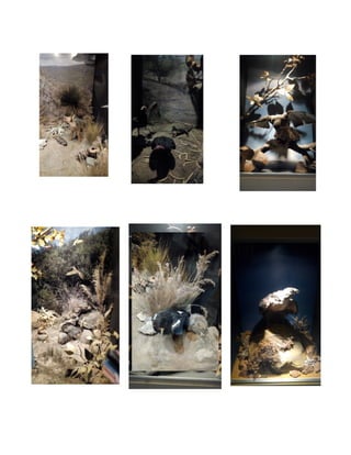 Salesiano santa-rosa-final (1)