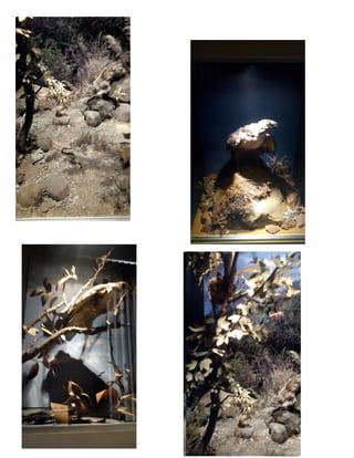 Salesiano santa-rosa-final (1)