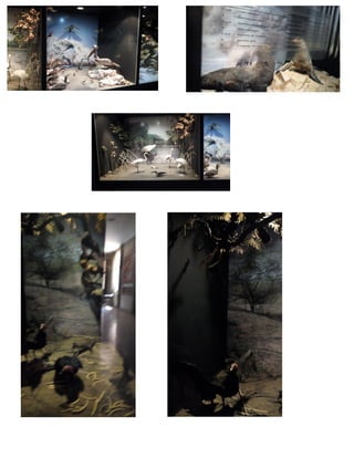 Salesiano santa-rosa-final (1)