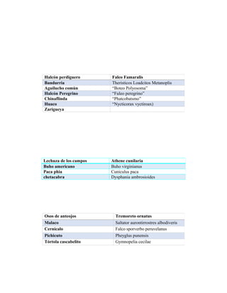Halcón perdiguero Faleo Famaralis
Bandurria Theristicos Loadcitos Metanoplis
Aguilucho comùn “Boteo Polyosoma”
Halcón Peregrino “Fuleo peregrino”
Chinaflinda “Phatcobatsmo”
Huaco “Nycticorax vyctiroax)
Zarigueya
Lechuza de los campos Athene cunilaria
Buho americano Buho virginianus
Paca phia Cuniculus paca
chetacabra Dysphania ambrosioides
Osos de anteojos Tremoreto ornatus
Malaco Saltator aurontirrostres albodiveris
Cernícalo Falco sporverbo peruvelanus
Pichicuto Pheyglus punensis
Tórtola cascabelito Gymnopelia cecilae
 