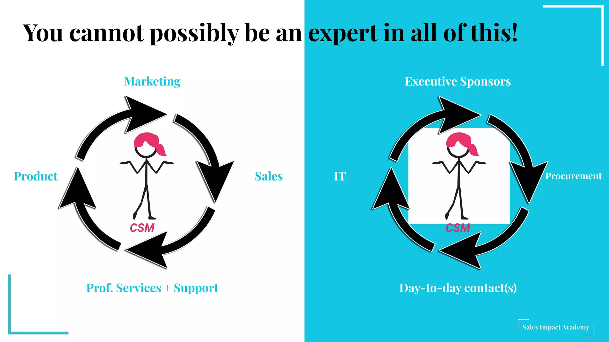 Sales
CSM
Marketing
Product
Prof. Services + Support
Executive Sponsors
IT
Day-to-day contact(s)
CSM
Procurement
You cannot possibly be an expert in all of this!
 