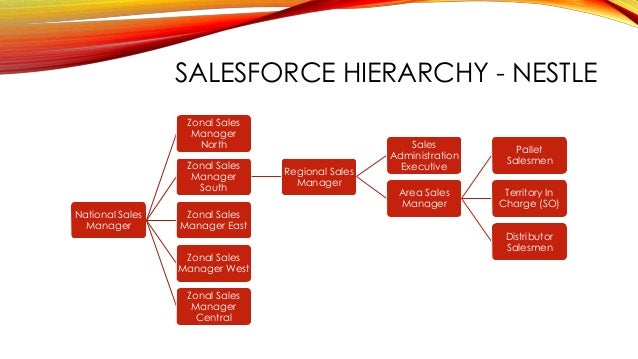 national sales manager job description