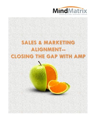 SALES & MARKETING
      ALIGNMENT--
CLOSING THE GAP WITH AMP
 