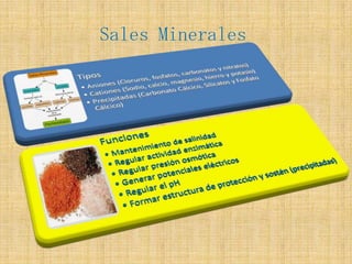 Sales Minerales 