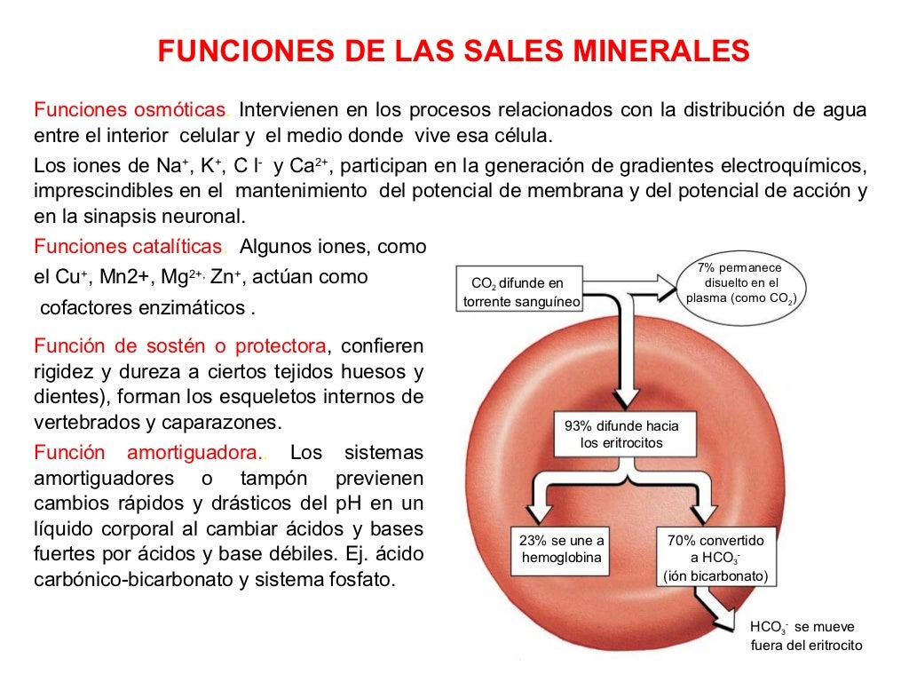 Sales minerales