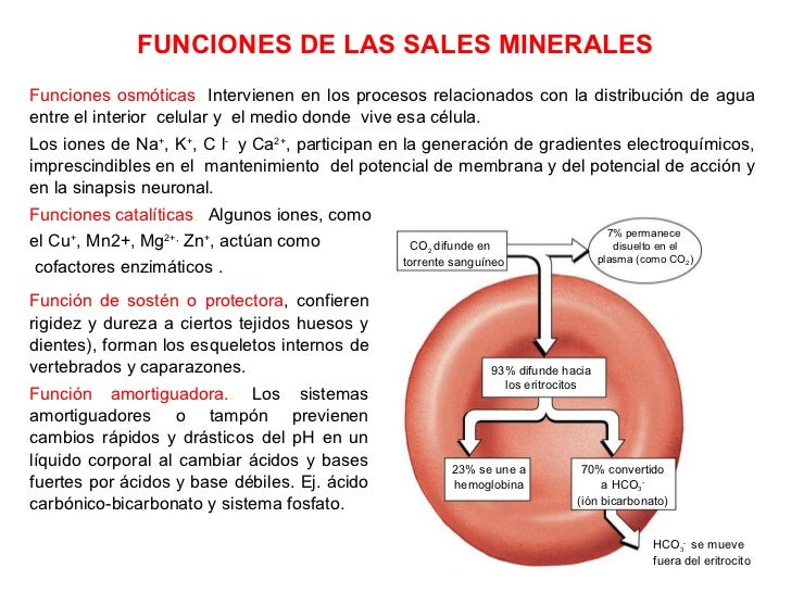 Sales minerales