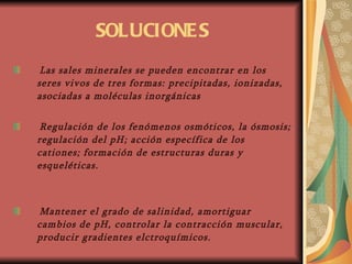 SOLUCIONES Las sales minerales se pueden encontrar en los seres vivos de tres formas:  precipitadas, ionizadas, asociadas a moléculas inorgánicas Regulación de los fenómenos osmóticos, la ósmosis; regulación del pH; acción específica de los cationes; formación de estructuras duras y esqueléticas. Mantener el grado de salinidad, amortiguar cambios de pH, controlar la contracción muscular, producir gradientes elctroquímicos. 