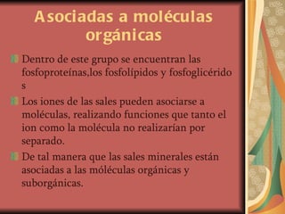 Asociadas a moléculas orgánicas Dentro de este grupo se encuentran las fosfoproteínas,los fosfolípidos y fosfoglicéridos Los iones de las sales pueden asociarse a moléculas, realizando funciones que tanto el ion como la molécula no realizarían por separado. De tal manera que las sales minerales están asociadas a las móléculas orgánicas y suborgánicas. 