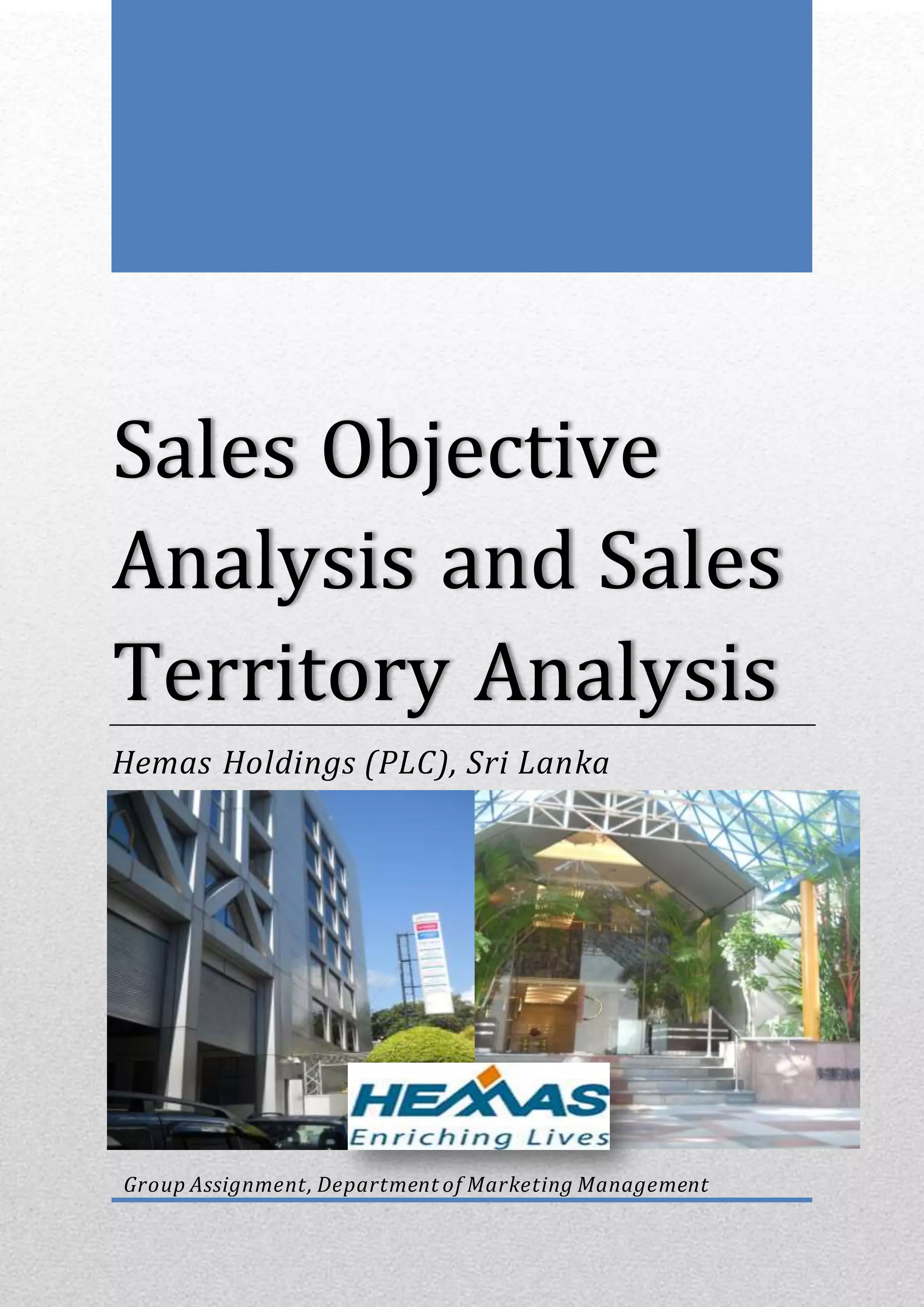 Sales objective analysis and sales territory analysis hemas holdings