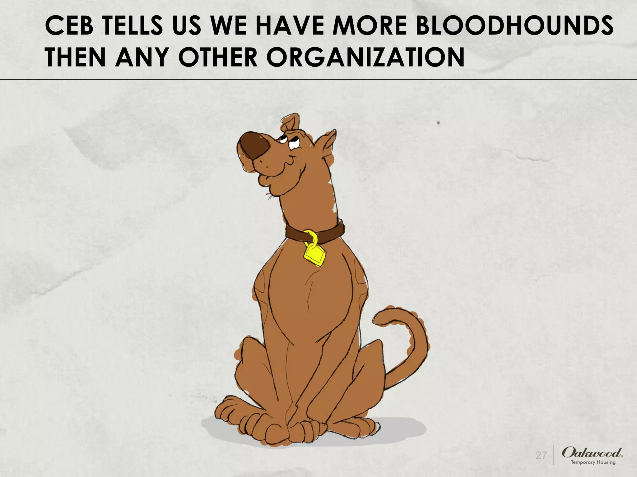 CEB TELLS US WE HAVE MORE BLOODHOUNDS THAN ANY OTHER ORGANIZATION 