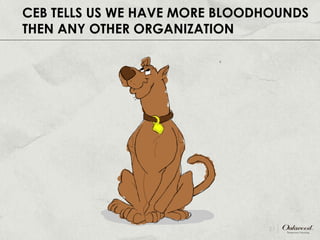CEB TELLS US WE HAVE MORE BLOODHOUNDS THAN ANY OTHER ORGANIZATION 