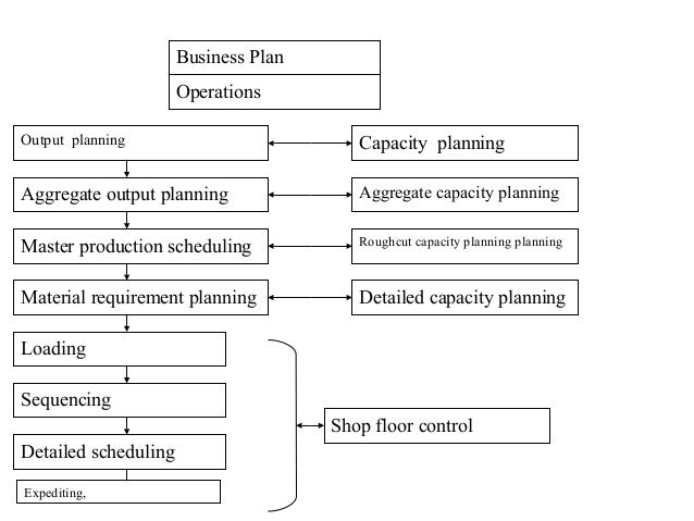 Capacity business plan