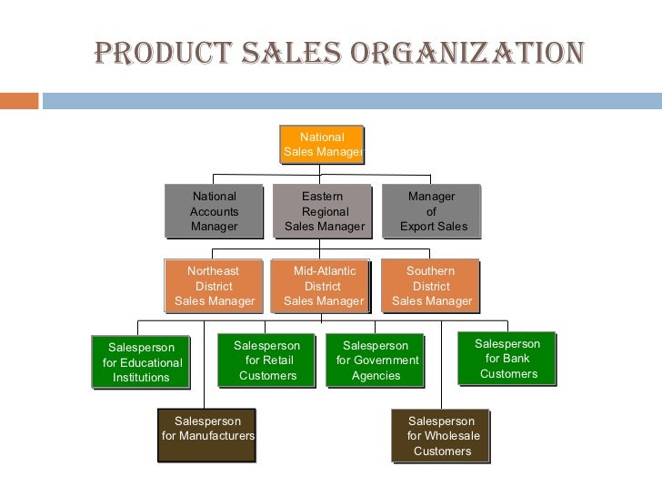 sales organisation chart