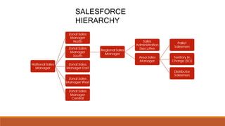 SALESFORCE
HIERARCHY
 
