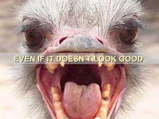 EVEN IF IT DOESN’T LOOK GOOD . 