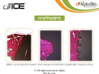 ‫היסטולוגיה‬




‫בחלק הקרסטלי ‪ BIC‬תמונות היסטולוגיות 6 שבועות לאחר השתלה מדגימות קרוב ל %001‬

                        ‫-‪© All rights reserved to Alpha‬‬
 