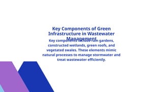 Green Infrastructure in Wastewater Treatment: Key Concepts, Benefits ...