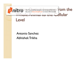 In Vivo Optical Imaging from the
Whole Animal to the Cellular
Level


Antonio Sanchez
Abhishek Trikha
 