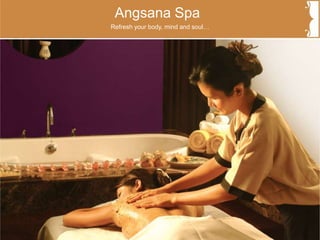 Angsana Spa
Refresh your body, mind and soul…
 
