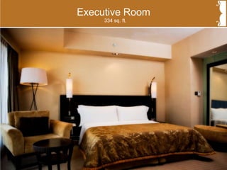 Executive Room
334 sq. ft.
 