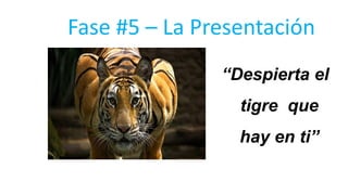 “Despierta el
tigre que
hay en ti”
Fase #5 – La Presentación
 