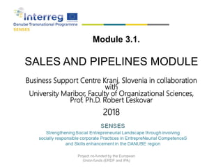 SALES AND PIPELINES MODULE
Business Support Centre Kranj, Slovenia in collaboration
with
University Maribor, Faculty of Organizational Sciences,
Prof. Ph.D. Robert Leskovar
2018
Module 3.1.
Project co-funded by the European
Union funds (ERDF and IPA)
 