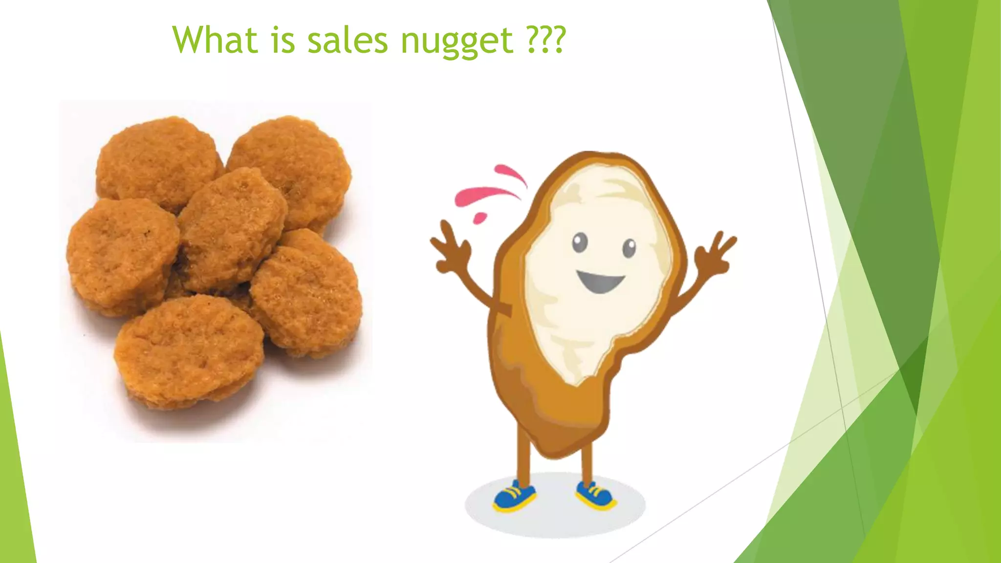 What is sales nugget ???

 